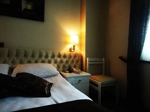 Guleryuz Hotel Анкара 2*,  Турция