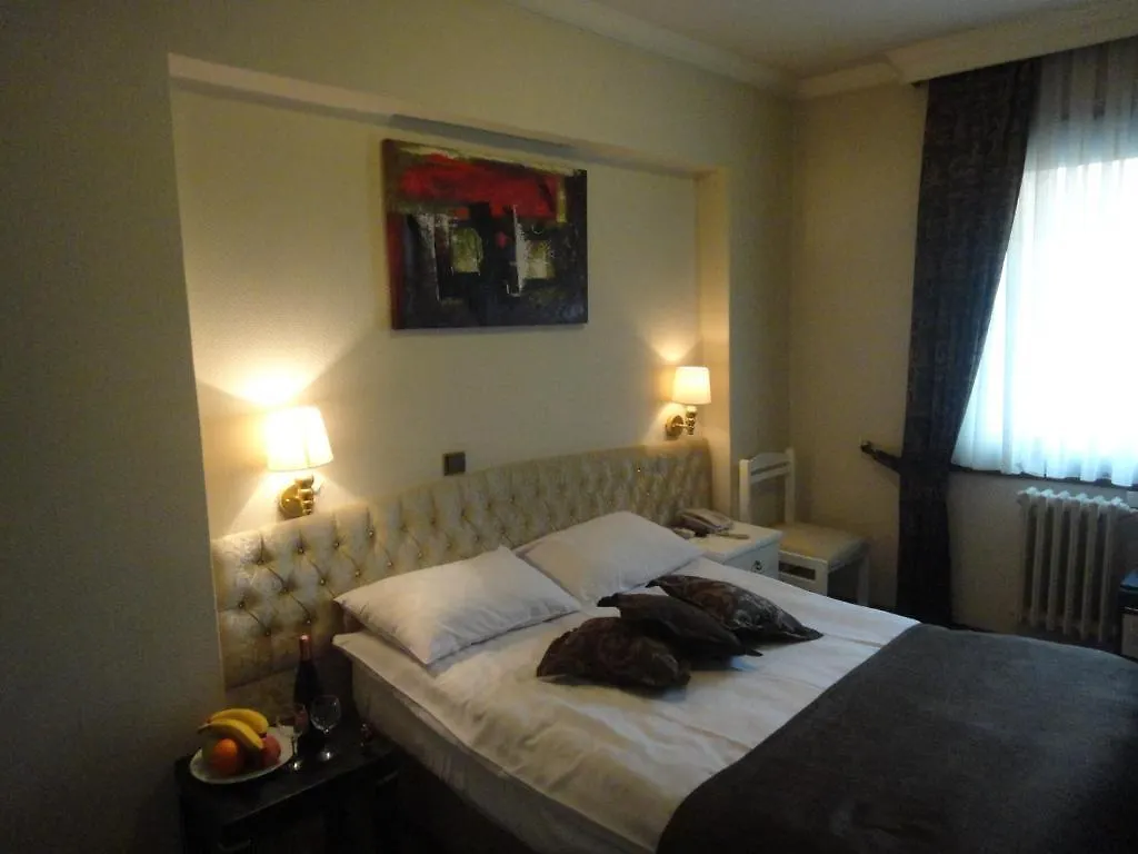 Guleryuz Hotel Анкара 2*,